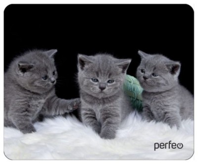 Perfeo Коврик для компьютерной мыши &quot;Cat&quot;, Рис.26 (180*220*2 мм), ткань+резиновое основание Perfeo Коврик для компьютерной мыши "Cat", Рис.26 (180*220*2 мм), ткань+резиновое основание