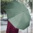 Зонт Xiaomi Zuodu Full Automatic Umbrella LED зеленый