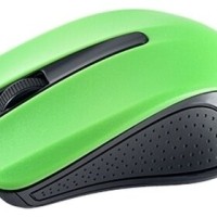Perfeo мышь беспров., оптич. "Rainbow", 3 кн, DPI 1000, USB, зелёная