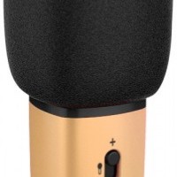 Караоке Xiaomi Just Sing C1 золотой