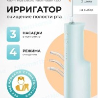 Электрический ирригатор для полости рта Xiaomi Mijia Electric Teeth Flosser F300 Smoked MEO703 зелен
