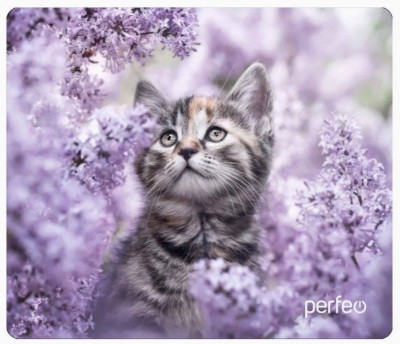 Perfeo Коврик для компьютерной мыши &quot;Cat&quot;, Рис.11 (340*280*4 мм), ткань+резиновое основание Perfeo Коврик для компьютерной мыши "Cat", Рис.11 (340*280*4 мм), ткань+резиновое основание