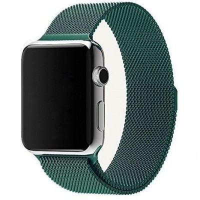 Сменный браслет для Apple Watch 38-40mm Milano №23 светло-зелёный Сменный браслет для Apple Watch 38-40mm Milano №23 светло-зелёный