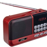 Портативный радиоприемник Perfeo Aspen 3Вт/FM/AUX/USB/MicroSD PF_B4058 красный