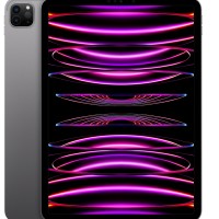 iPad Pro (2022) 11" Wi-Fi 256 ГБ, «серый космос»