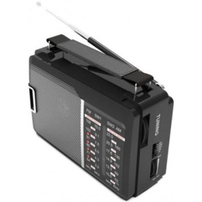 Портативный радиоприемник Ritmix RPR-190 черный Портативный радиоприемник Ritmix RPR-190 черный