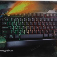 Клавиатура игровая Smartbuy RUSH Armor 310 USB черная (SBK-310G-K)/20